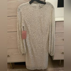 BHLDN Goldie Dress NWT size 14